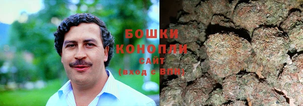 ГАЛЛЮЦИНОГЕННЫЕ ГРИБЫ Абинск