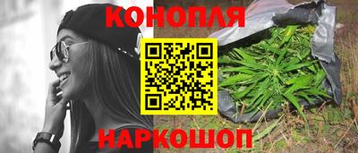 индика Абакан