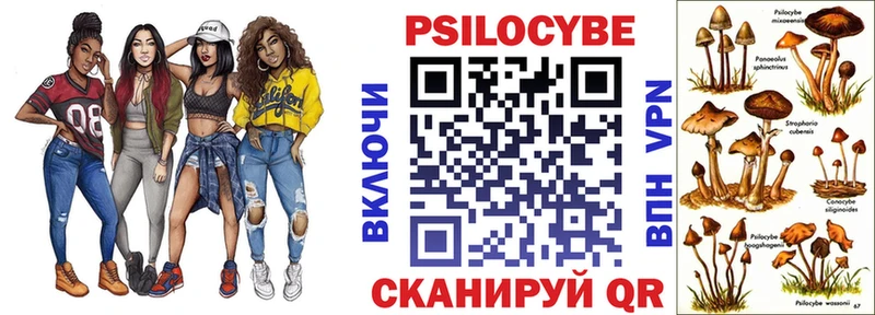 Псилоцибиновые грибы ЛСД Алейск