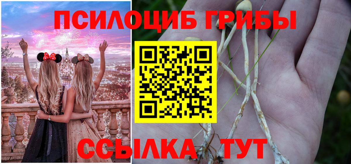 Алейск  Галлюциногенные грибы прущие грибы  Вход с VPN 